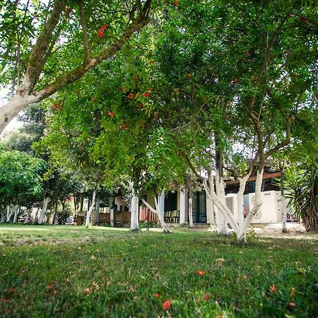 Agriturismo Archelao โอริสตาโน ภายนอก รูปภาพ